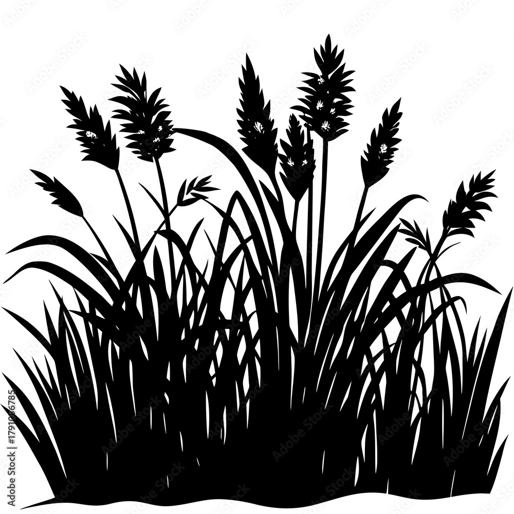 Obraz premium grass silhouette vector