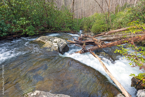 Fast Moving Stream Flowing Through a Rhododendron Forest