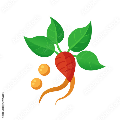 Stylized radish with leaves and seeds