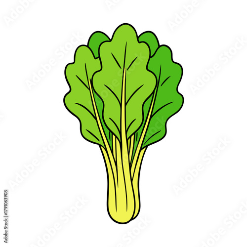 Stylized illustration of a bunch of green leafy vegetables