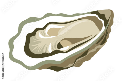 Artistic Illustration of an Open Oyster with Creamy Interior on a Soft Neutral Background