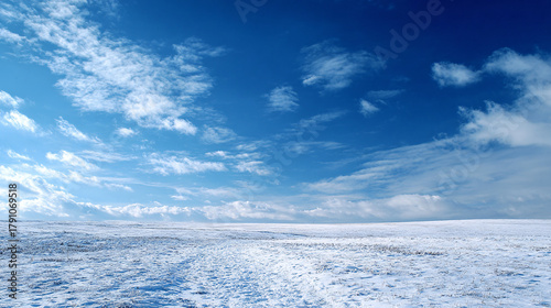 Fototapeta Naklejka Na Ścianę i Meble -  Christmas snowy plain under blue sky 