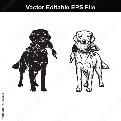 Two golden retriever dogs, one black silhouette and one line drawing, holding ducks in their mouths