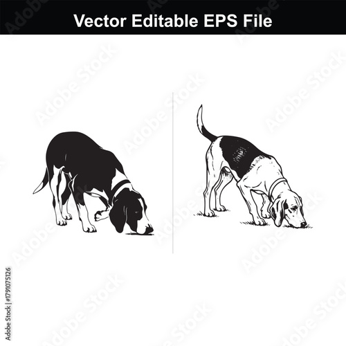 Two beagle dogs in silhouette, one solid black and one with black and white markings, both sniffing the ground