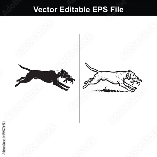 Two beagle dogs running with objects in their mouths, one a black silhouette, the other a detailed sepia drawing, showcasing speed and retrieval in a split image