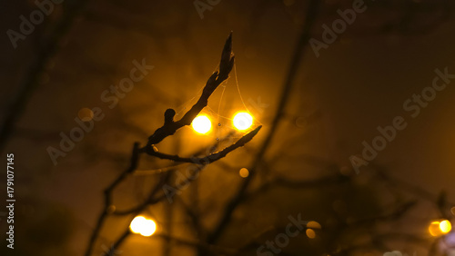 Fototapeta Naklejka Na Ścianę i Meble -  A small branch with a budding tip and delicate web glimmers against distant street lights, forming a quiet, introspective night scene with subtle depth and natural stillness.