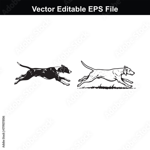 Two dogs running side by side, one black and white, the other a line drawing