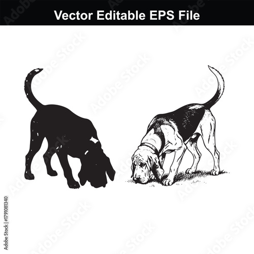 Two black and white beagle dogs sniffing the ground, one in silhouette and one as a line drawing