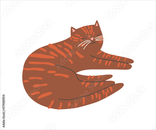 Cute red tabby flat illustration. Kids vector flat illustration isolated on white background