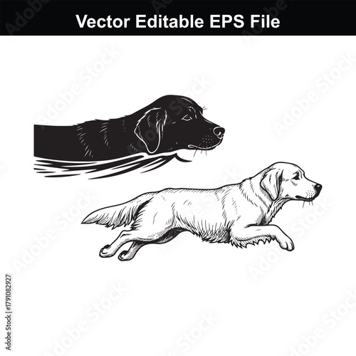 Two dogs, one black silhouette and one line drawing, running