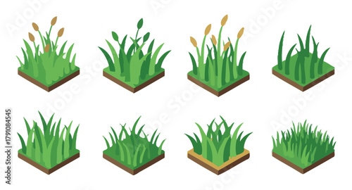 grass, isometric, nature, plant, green, environment, landscape, element, design, illustration, icon, set, collection, growth, vegetation, meadow, field, garden, outdoor, natural, agriculture, ground, 