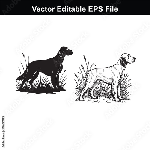 Two dogs, one black and one white, standing in grass, vector illustration