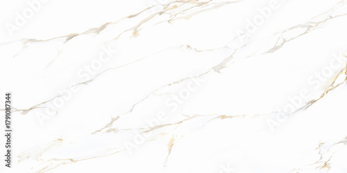 Calacatta gold marble stone texture with a lot of details used for so many purposes such ceramic wall and floor tiles ans 3d PBR materials.