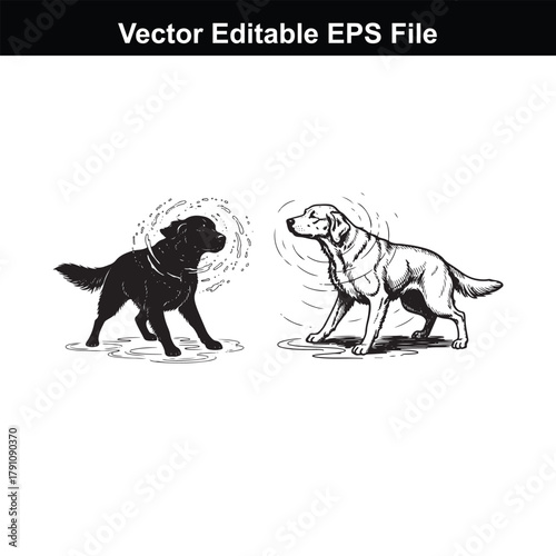 Two labrador retriever dogs, one in silhouette and one as a sketch, standing side by side on a