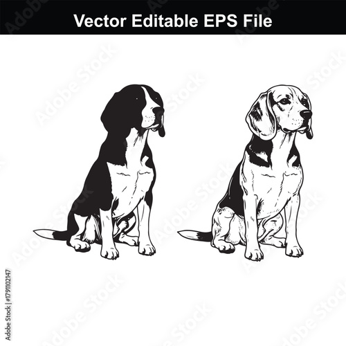 Two beagle dogs sitting side by side, one in black and white silhouette and the other in a detailed sketch