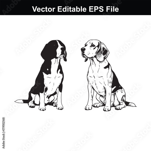 Two beagle dogs sitting side by side, one in black and white silhouette and the other in a detailed sketch