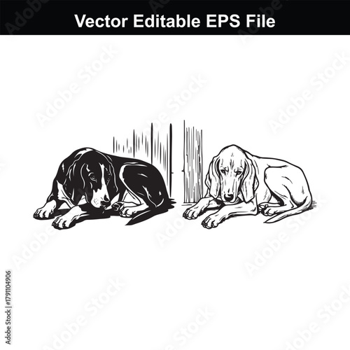 Two dogs lying down in front of a fence, one black and white, the other white