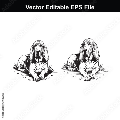 Two basset hound dogs lying down in a stylized black and white illustration