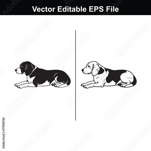 Two beagle dogs lying down side by side in a vector illustration, one black and tan, one black and white, against a plain background