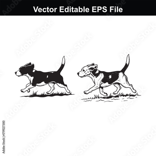 Two beagle dogs running sidebyside through grassy terrain, depicted in a lively, energetic illustration style