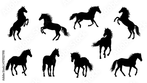 Collection of horse silhouettes in rearing, galloping, and walking poses isolated on white background. Black vector equine outline shape for 2026 Year of the Horse. Zodiac graphics, logo, print design