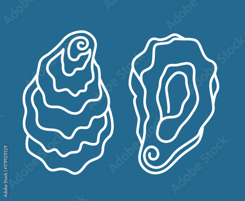 collection of oyster shell isolated on blue background