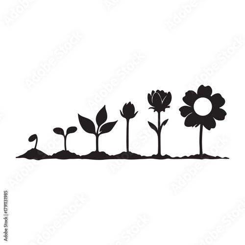 blossoming of a plant