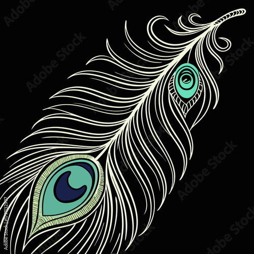 Detailed peacock feather eye pattern on black background