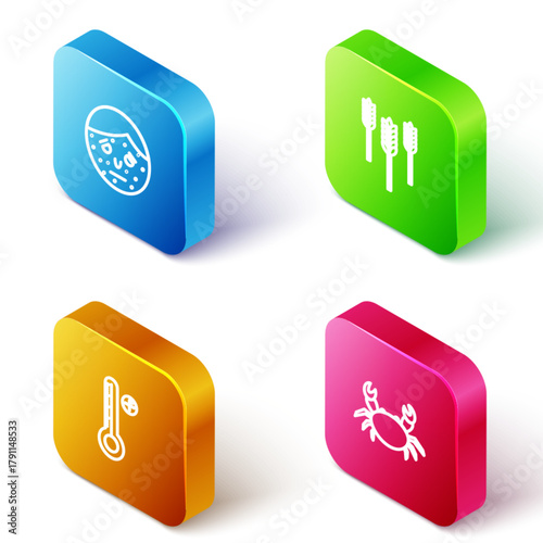 Set Isometric line Face with psoriasis or eczema, Wheat, Medical digital thermometer and Crab icon. Vector