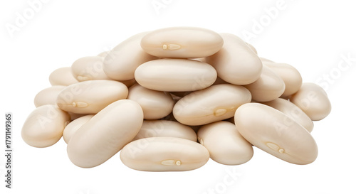 Pile of Raw Dried White Beans (Cannellini/Navy) on White Background
