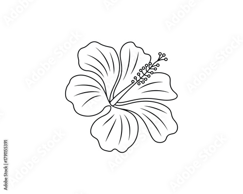 Hibiscus flower line art illustration, tropical plant outline
