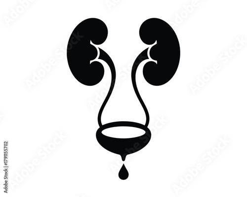 Human urinary system kidneys bladder icon for medical health