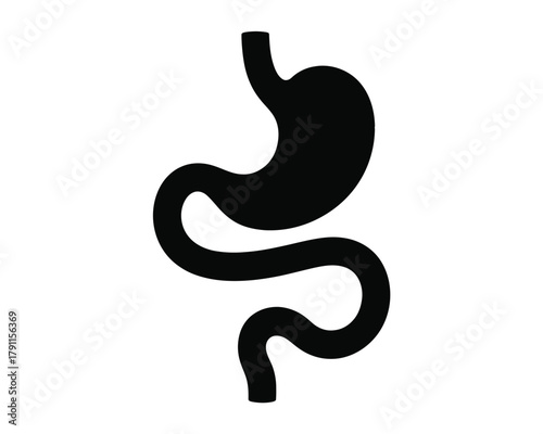 Human stomach and small intestine digestive organ silhouette