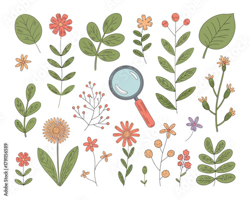 Hand-drawn nature study elements collection with magnifying glass and various plants