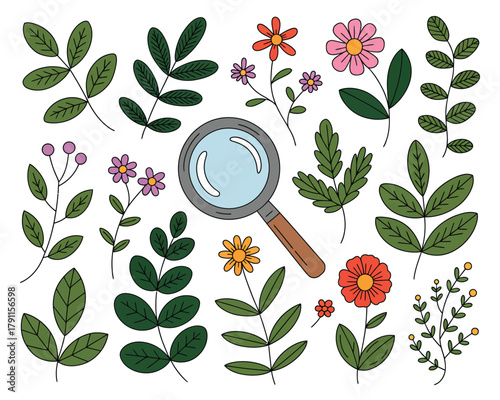 A collection of hand-drawn flowers, leaves, and a magnifying glass on white background