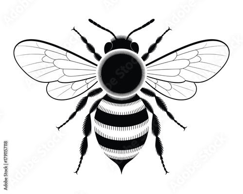 Monochrome stylized bee design with detailed wings and striped body