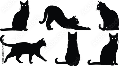 Cat silhouette set, sitting, walking, stretching, curled tail, black icons, vector illustration, feline posture, pet concept, animal pose