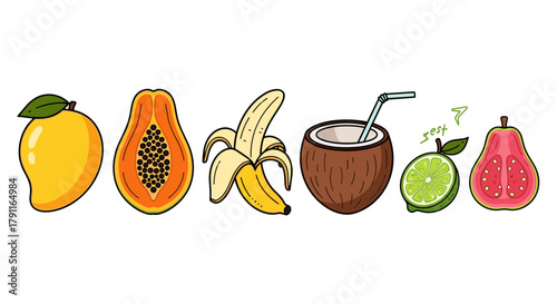 Illustration of a row of tropical fruits including coconut drink