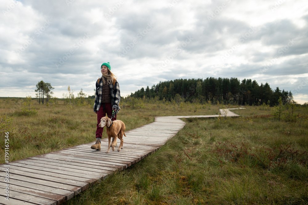 Fototapeta premium Woman enjoying nature outdoors on weekend trip with dog in autumn marshy wetland. Female hiker walking together with pet on wooden ecological trail in middle of raised sphagnum bog on windy day.