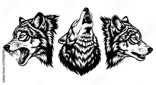 Furious and Howling Wolf Head Set - Aggressive Wild Animal Mascot Vector Illustration for Team Logo and Wilderness Design