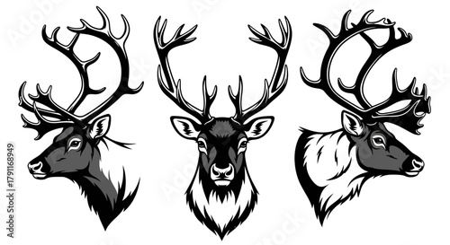 Powerful Deer or Stag Head with Antlers Set - Majestic Black and White Vector Illustration for Hunting and Wilderness Logos