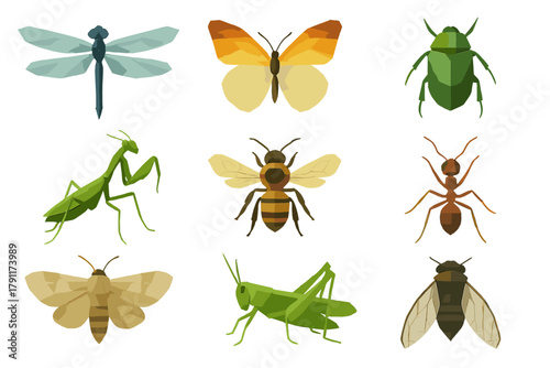 Colorful collection of geometric insect illustrations showcasing diverse species and their vibrant designs