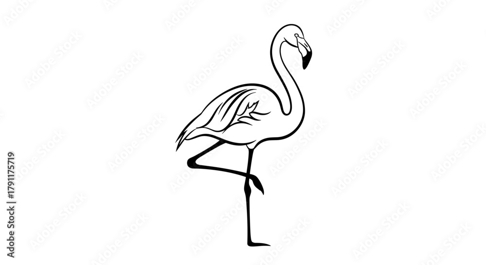 Obraz premium A flamingo standing on one leg in a black and white illustration