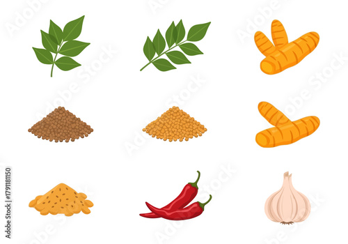An arrangement of nine distinct Indian spice and herb ingredients on a white background