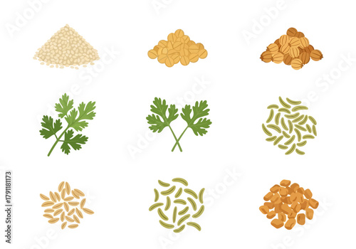 Grid illustration of nine different spices and herbs seeds and leaves