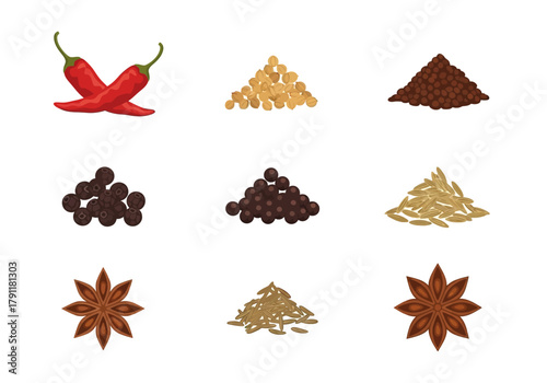 Nine spice illustrations arranged in a threebythree grid on white