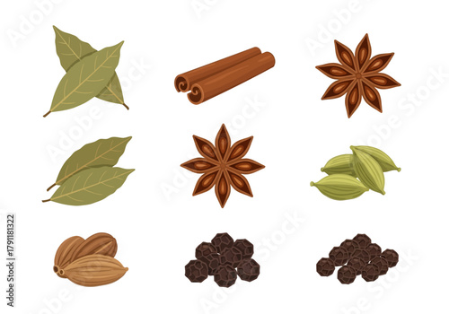 Nine illustrations of culinary spices arranged in a threebythree grid