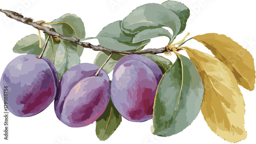 Vibrant Drawing of Purple Plums with Green Leaves and Gold Leaf