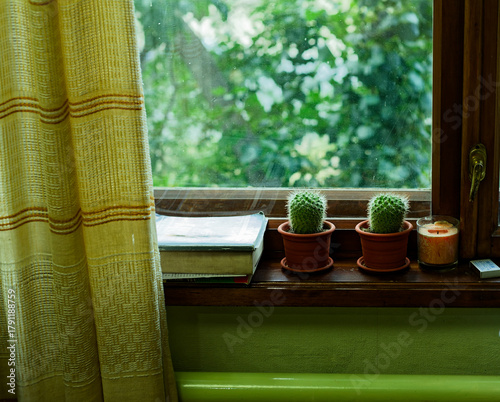 Cacti and Candle on Wooden Windowsill Overlooking Lush Garden