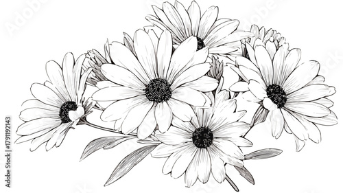 Vibrant Daisy Flowers Bouquet Vector Illustration for Design Projects